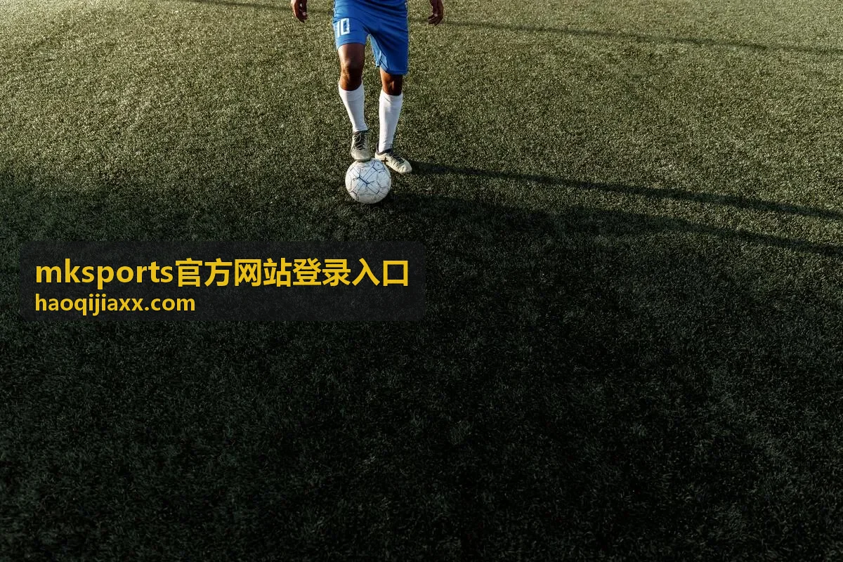 mksports官方网站登录入口在弱网与省流模式下的加载表现