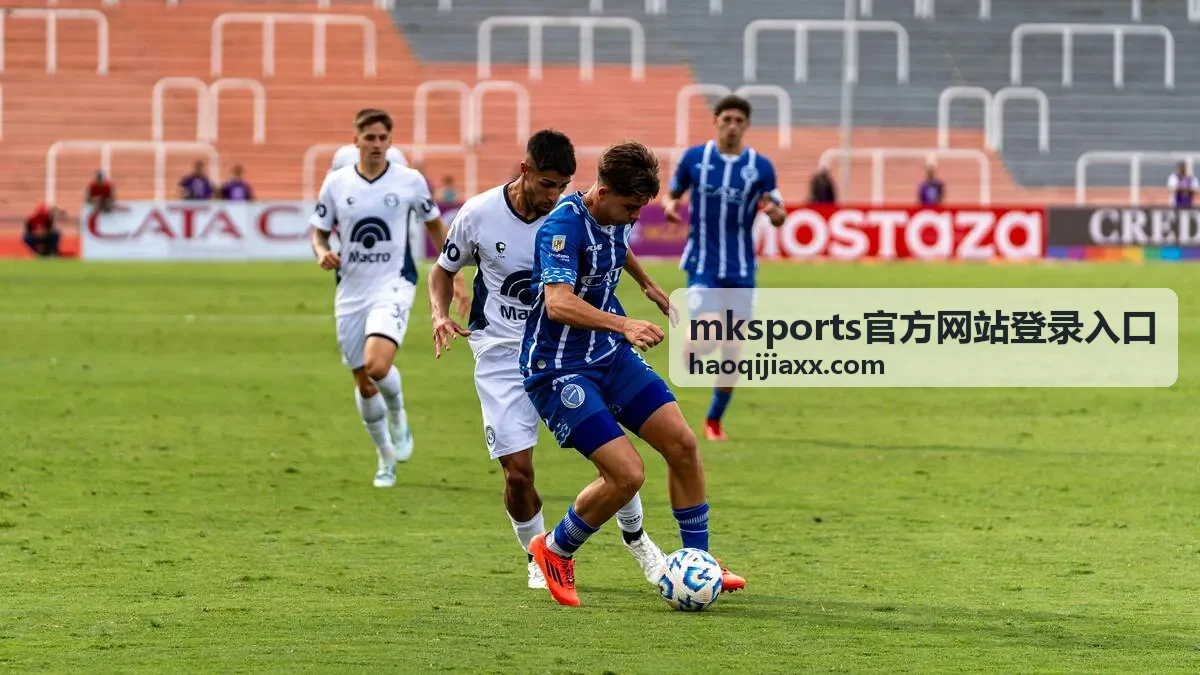 mksports官方网站登录入口账号安全设置示意